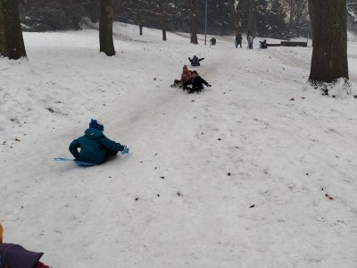 BOBOVAČKA V PARKU - II. ODDĚLENÍ (A. RIEGLOVÁ)