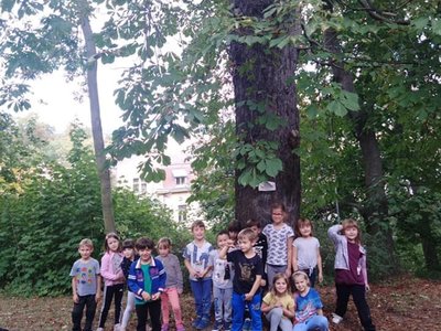 SBĚR KAŠTANŮ V PARKU SANTOŠKA - VI. ODDĚLENÍ (P. STAŇKOVÁ)