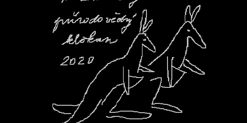 Matematický a přírodovědný klokan 2020