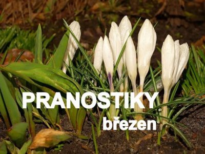 PRANOSTIKY NA MĚSÍC BŘEZEN