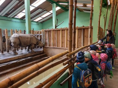 Výlet do ZOO Plzeň - Broučci a Motýlci