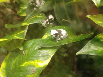 7.B Stanice přírodovědců