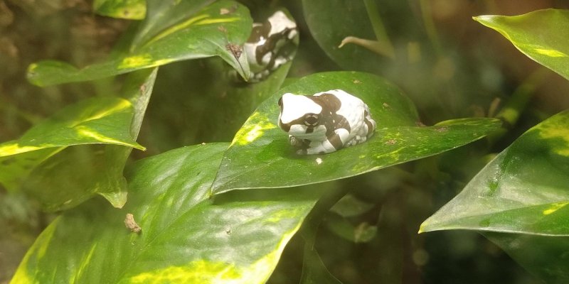 7.B Stanice přírodovědců